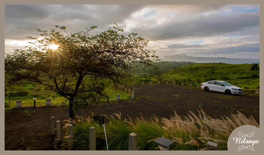 Approach to Nilaaya at dusk, with a car on the gravel drive and grasses in the foreground.